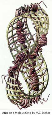 mobius strip