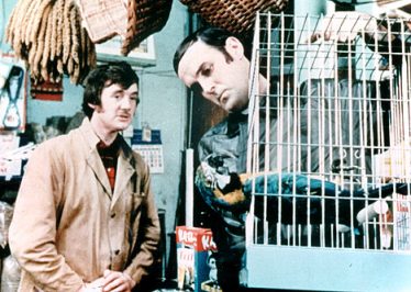 deadparrot1308_468x333