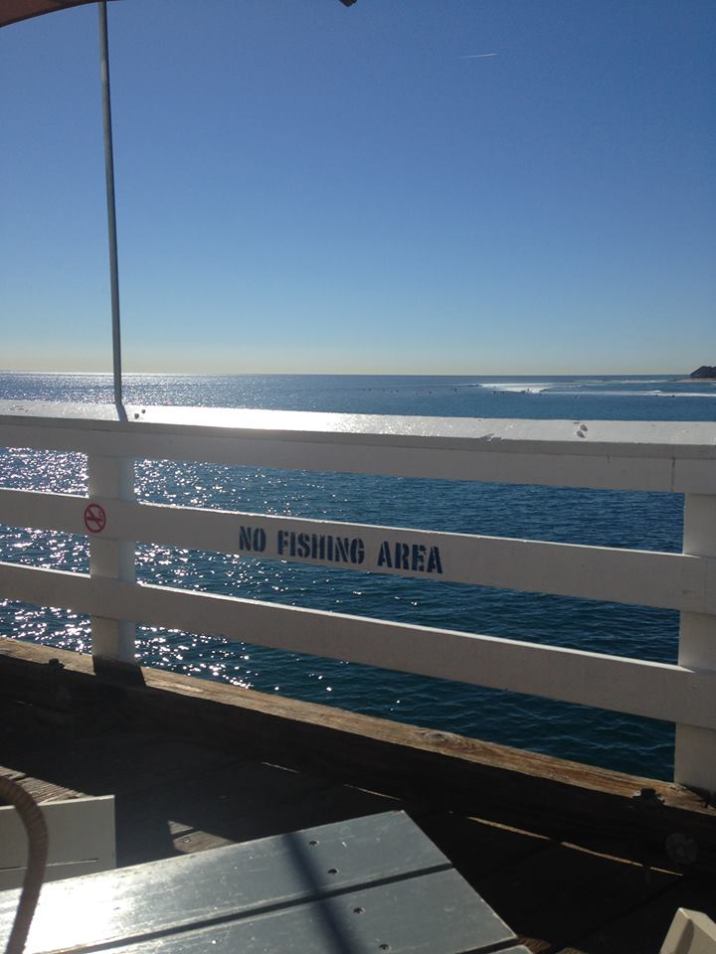 12249585_10153699172837052_4702429217070570911_n