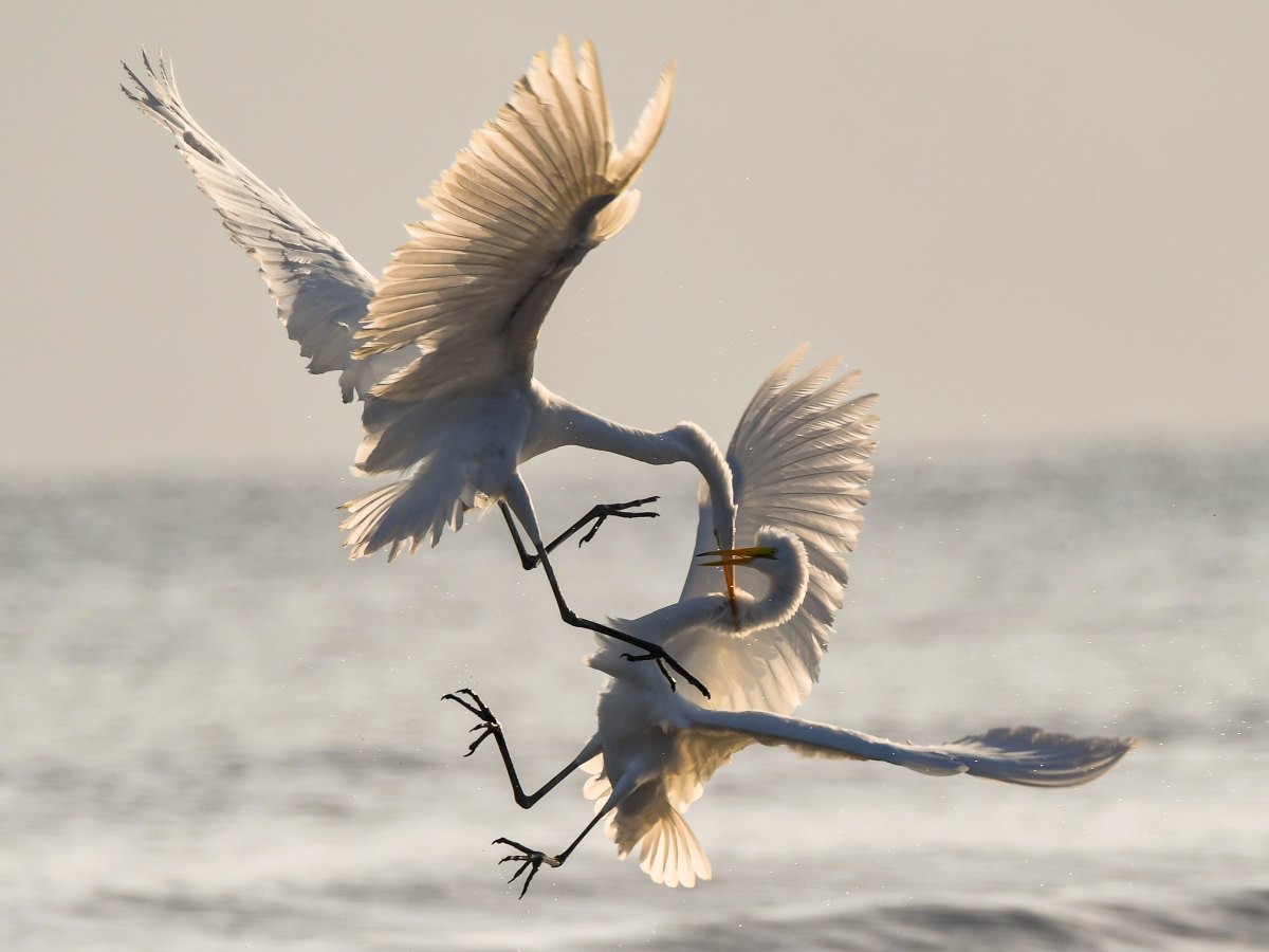 What Trauma Does To You: The&nbsp;Hippocampus