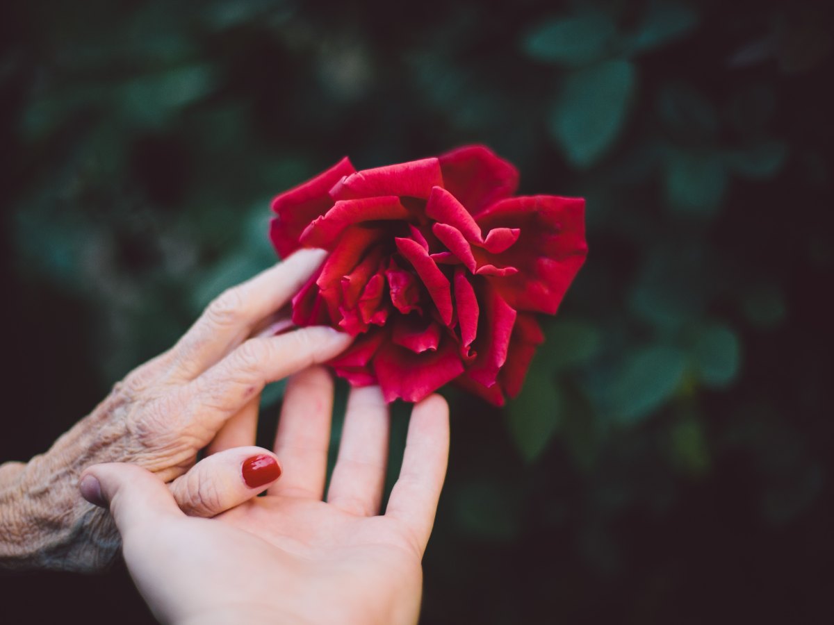 Tips for Breaking Generational Cycles, Part&nbsp;Four