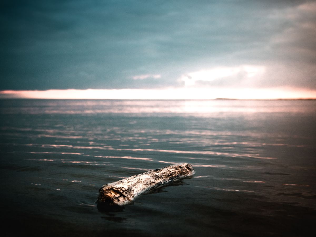 Part 2. The Genesis of My C-PTSD – Mother as Place of&nbsp;Attachment